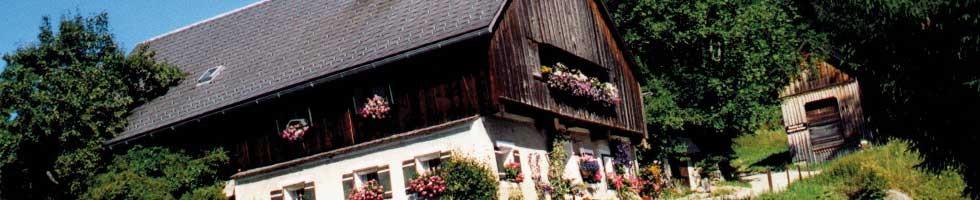 Kanzlerhof in Bad Mitterndorf